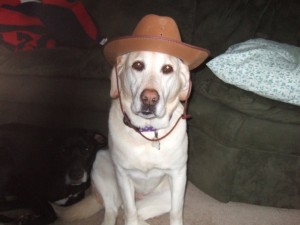 Cowboy Sadie